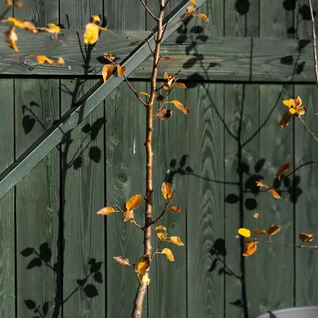 Pelisky - Cozy Mountain Den With Large Bathroom