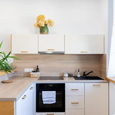 Pelisky - Cozy Mountain Den With Large Bathroom 아파트 Liptovská Kokava