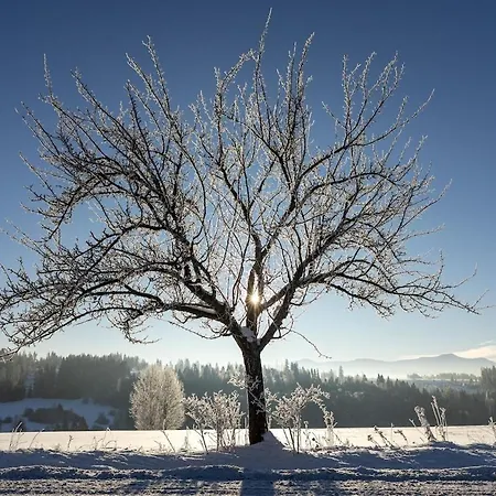 아파트 Pelisky - Cozy Mountain Den With Large Bathroom *