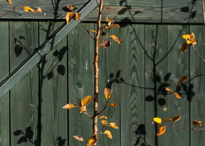 Pelisky - Cozy Mountain Den With Large Bathroom
