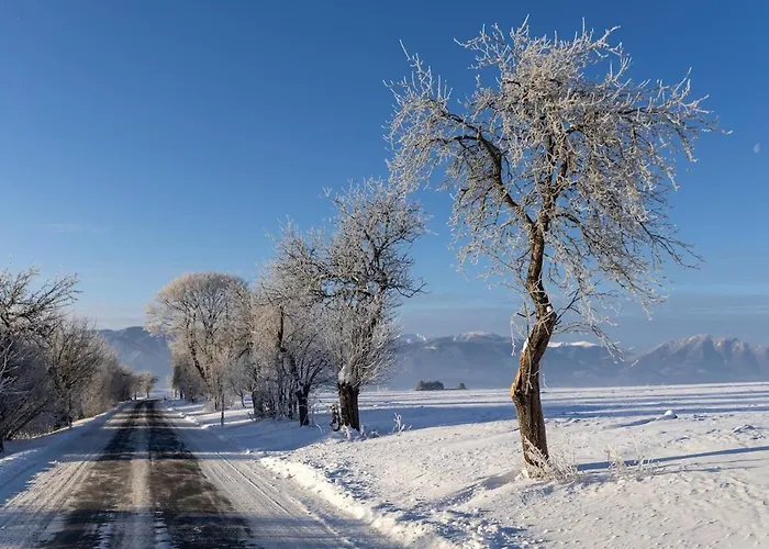 Apartmán Pelisky - Cozy Mountain Den With Large Bathroom