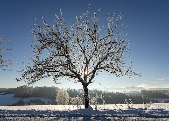 Апартаменты Pelisky - Cozy Mountain Den With Large Bathroom *