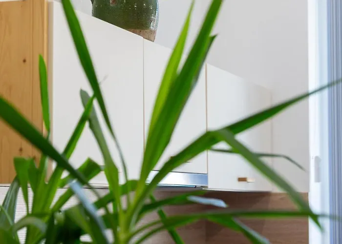 公寓 Pelisky - Cozy Mountain Den With Large Bathroom